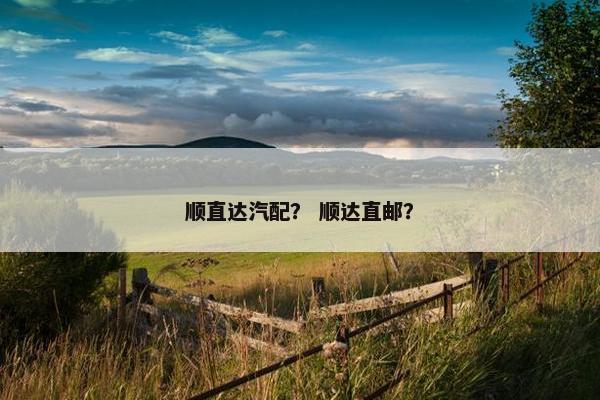 顺直达汽配？ 顺达直邮？