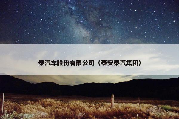 泰汽车股份有限公司（泰安泰汽集团）