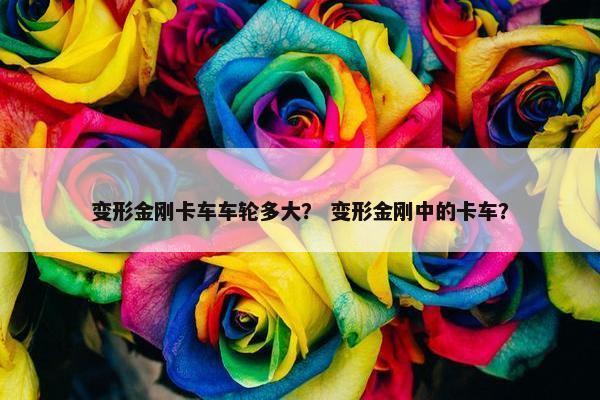 变形金刚卡车车轮多大？ 变形金刚中的卡车？