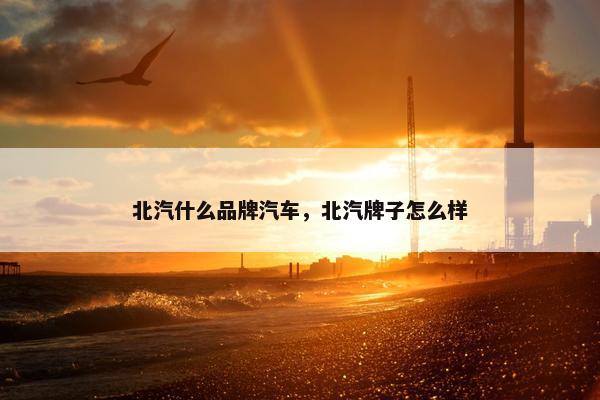 北汽什么品牌汽车，北汽牌子怎么样