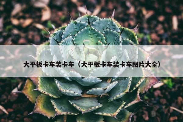 大平板卡车装卡车（大平板卡车装卡车图片大全）