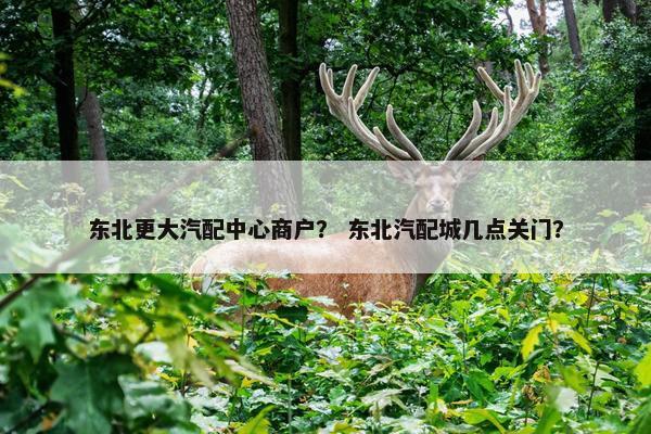 东北更大汽配中心商户？ 东北汽配城几点关门？