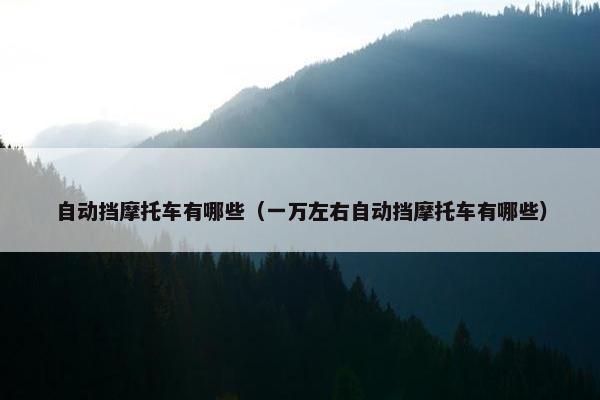 自动挡摩托车有哪些（一万左右自动挡摩托车有哪些）