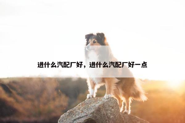 进什么汽配厂好，进什么汽配厂好一点