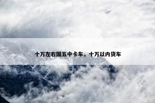 十万左右国五中卡车，十万以内货车