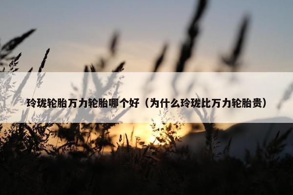 玲珑轮胎万力轮胎哪个好（为什么玲珑比万力轮胎贵）
