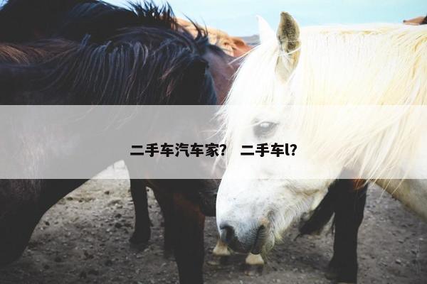 二手车汽车家？ 二手车l？