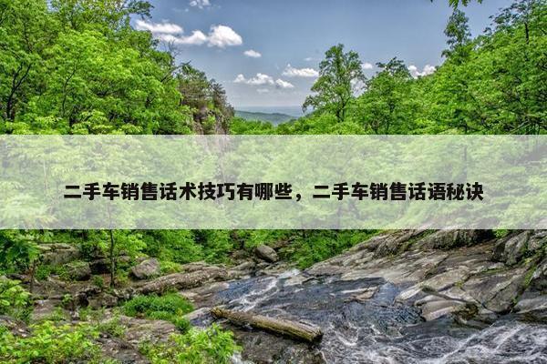 二手车销售话术技巧有哪些，二手车销售话语秘诀