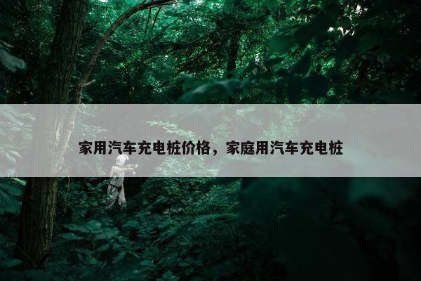 家用汽车充电桩价格，家庭用汽车充电桩