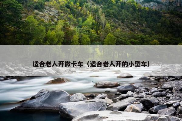适合老人开微卡车（适合老人开的小型车）