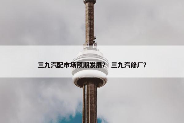 三九汽配市场预期发展？ 三九汽修厂？