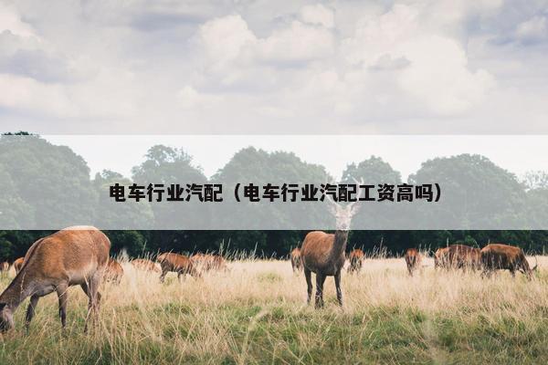 电车行业汽配（电车行业汽配工资高吗）