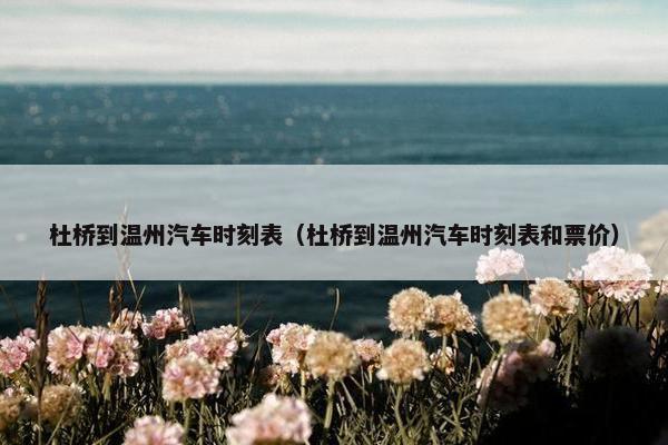 杜桥到温州汽车时刻表（杜桥到温州汽车时刻表和票价）