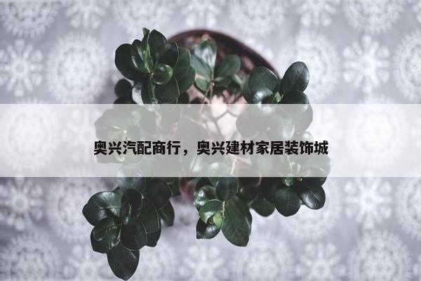 奥兴汽配商行，奥兴建材家居装饰城