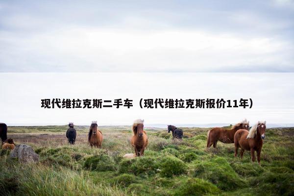 现代维拉克斯二手车（现代维拉克斯报价11年）