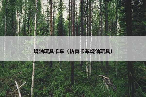 烧油玩具卡车（仿真卡车烧油玩具）