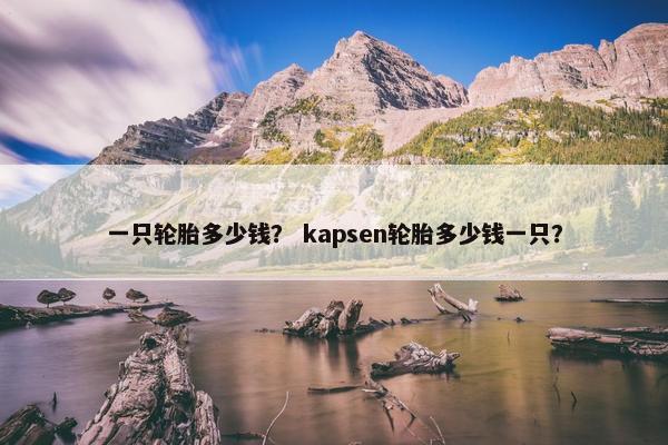 一只轮胎多少钱？ kapsen轮胎多少钱一只？