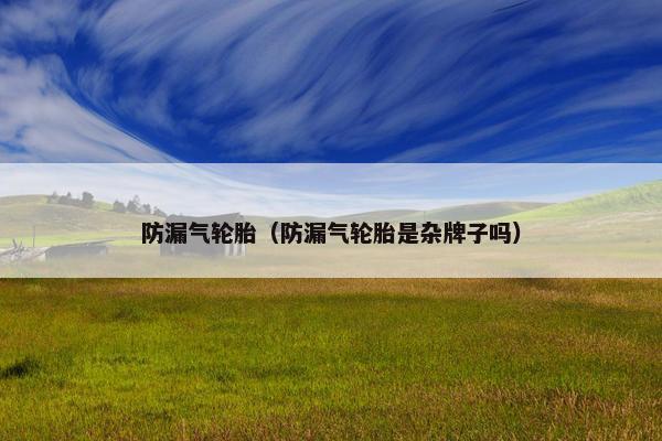 防漏气轮胎（防漏气轮胎是杂牌子吗）