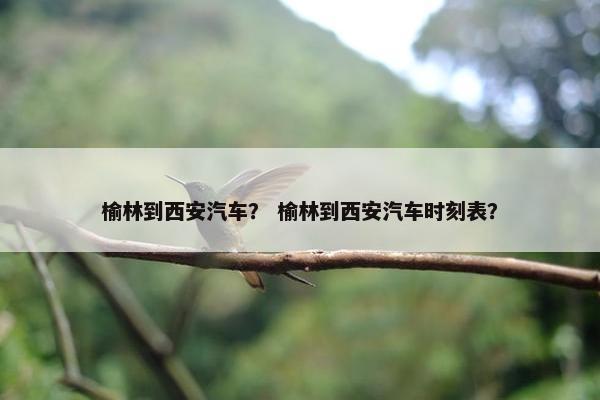 榆林到西安汽车？ 榆林到西安汽车时刻表？