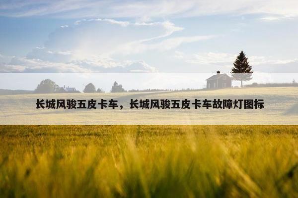 长城风骏五皮卡车，长城风骏五皮卡车故障灯图标