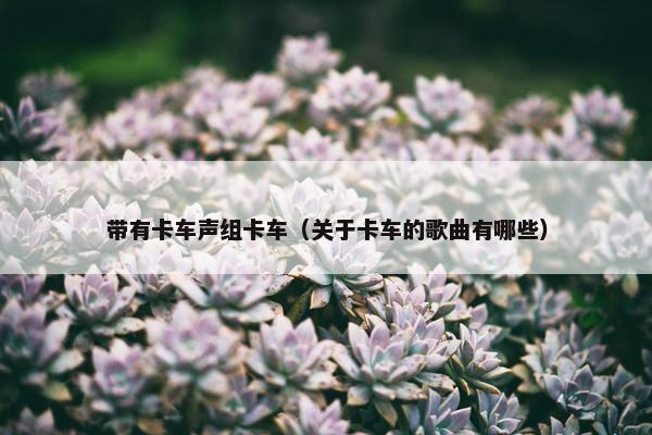 带有卡车声组卡车（关于卡车的歌曲有哪些）