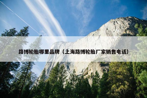 路博轮胎哪里品牌（上海路博轮胎厂家销售电话）
