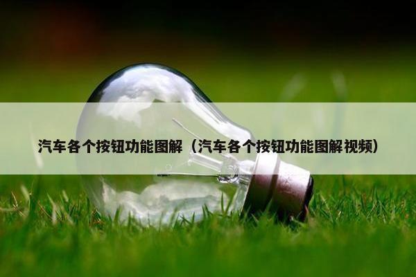 汽车各个按钮功能图解（汽车各个按钮功能图解视频）