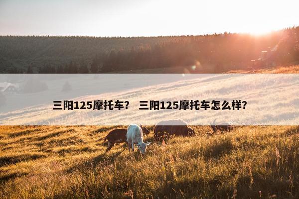 三阳125摩托车？ 三阳125摩托车怎么样？