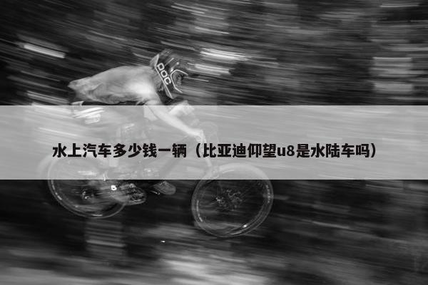 水上汽车多少钱一辆（比亚迪仰望u8是水陆车吗）