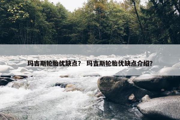 玛吉斯轮胎优缺点？ 玛吉斯轮胎优缺点介绍？