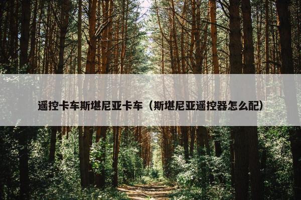 遥控卡车斯堪尼亚卡车（斯堪尼亚遥控器怎么配）