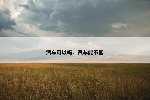 汽车可以吗，汽车能不能