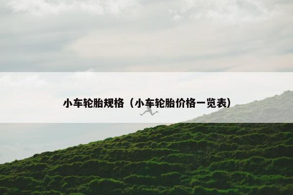 小车轮胎规格（小车轮胎价格一览表）
