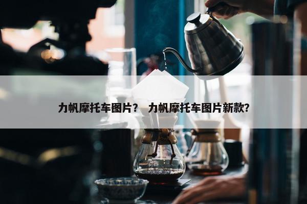 力帆摩托车图片？ 力帆摩托车图片新款？