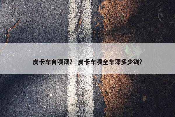 皮卡车自喷漆？ 皮卡车喷全车漆多少钱？