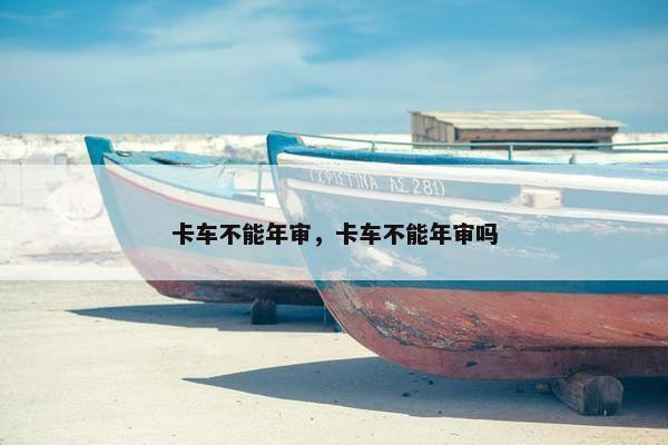 卡车不能年审，卡车不能年审吗