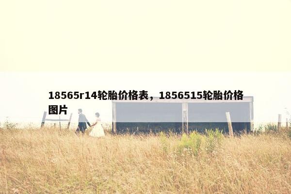 18565r14轮胎价格表，1856515轮胎价格图片