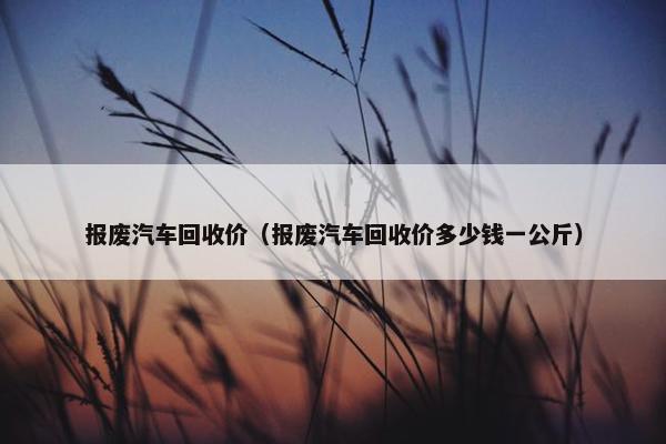 报废汽车回收价（报废汽车回收价多少钱一公斤）