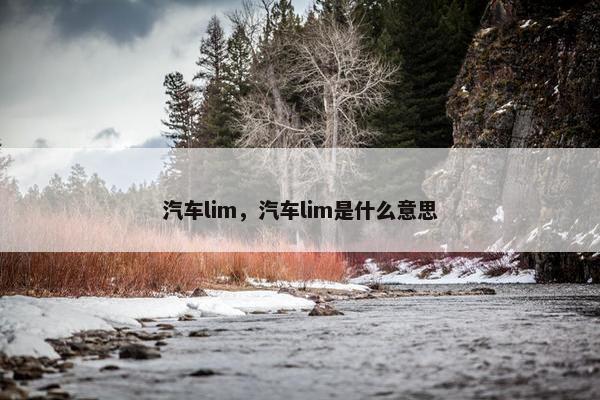 汽车lim，汽车lim是什么意思