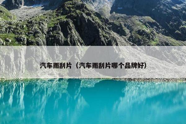 汽车雨刮片（汽车雨刮片哪个品牌好）