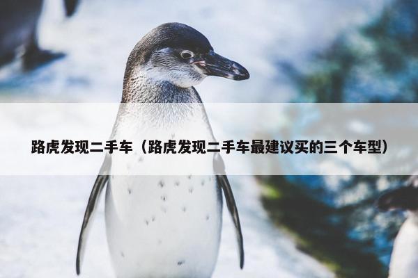 路虎发现二手车（路虎发现二手车最建议买的三个车型）