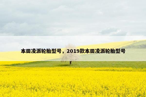 本田凌派轮胎型号，2019款本田凌派轮胎型号