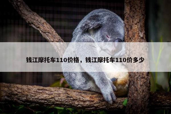 钱江摩托车110价格，钱江摩托车110价多少