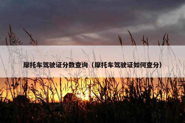 摩托车驾驶证分数查询（摩托车驾驶证如何查分）