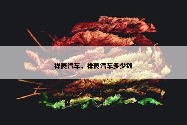 祥菱汽车，祥菱汽车多少钱