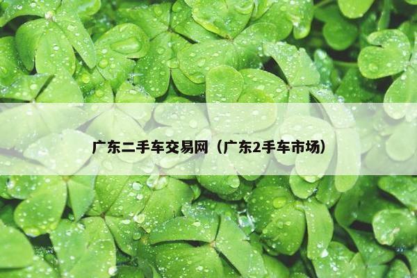 广东二手车交易网（广东2手车市场）