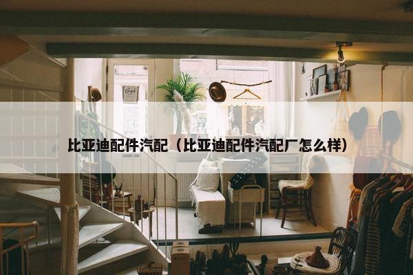 比亚迪配件汽配（比亚迪配件汽配厂怎么样）