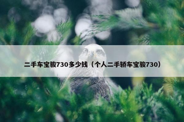 二手车宝骏730多少钱（个人二手轿车宝骏730）