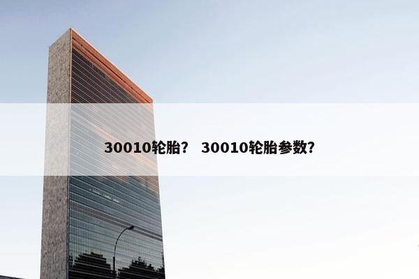 30010轮胎？ 30010轮胎参数？