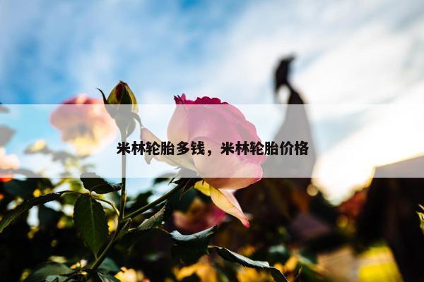 米林轮胎多钱，米林轮胎价格